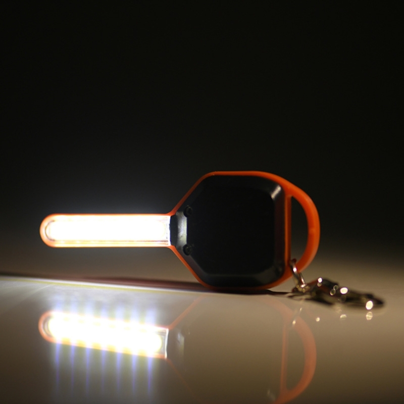 Mini Keychain  Keys Shape Mini – Compass Keychain Mini Bewertung und Preis
